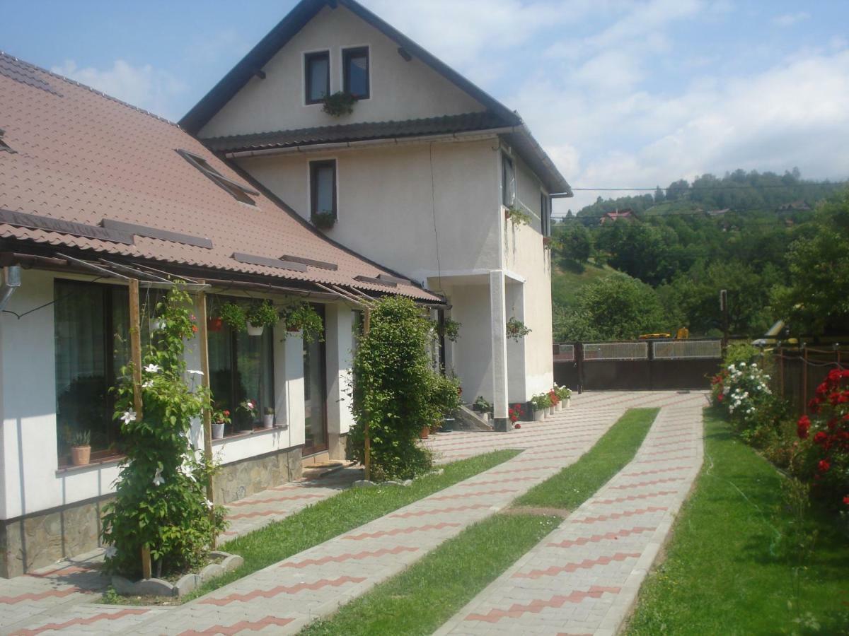 Casa Elena Hotel Moieciu de Jos Ngoại thất bức ảnh