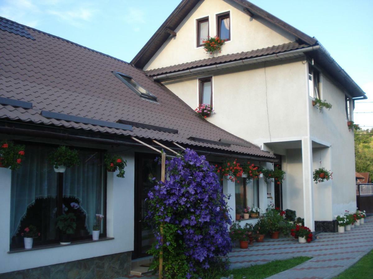 Casa Elena Hotel Moieciu de Jos Ngoại thất bức ảnh
